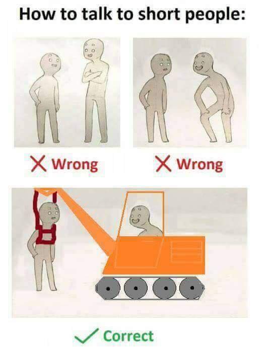 How to talk to short people meme