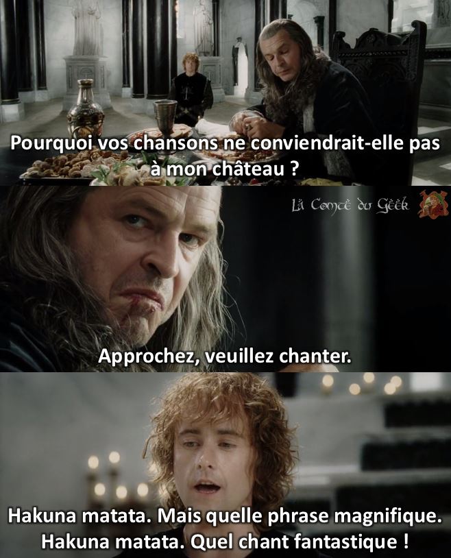 Pippin Le Seigneur des Anneaux meme La Comté du Geek