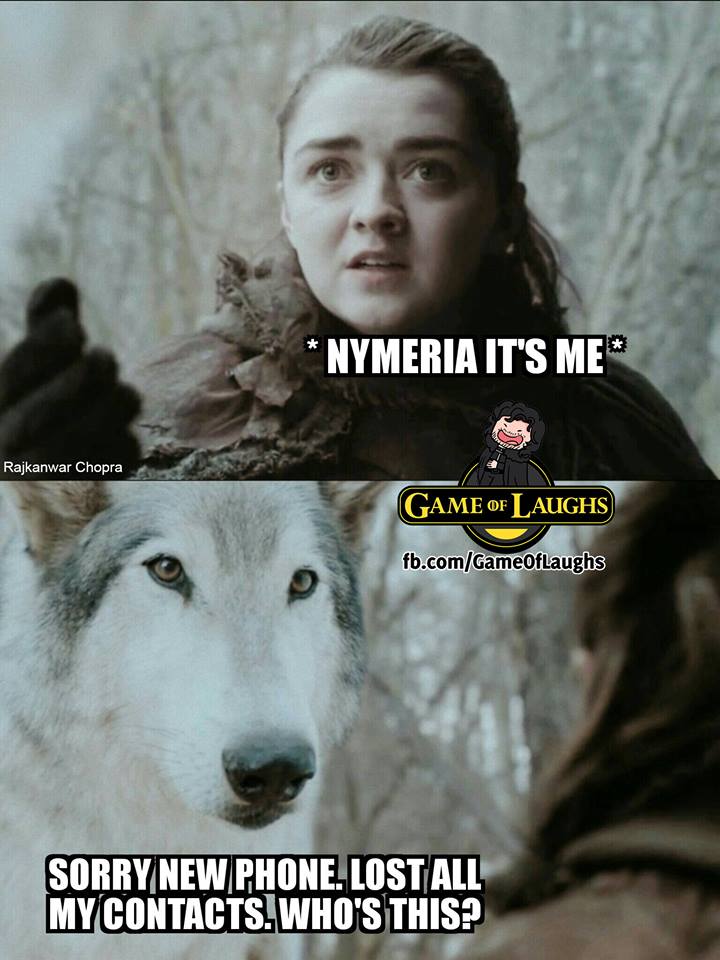 Arya Stark Nymeria meme