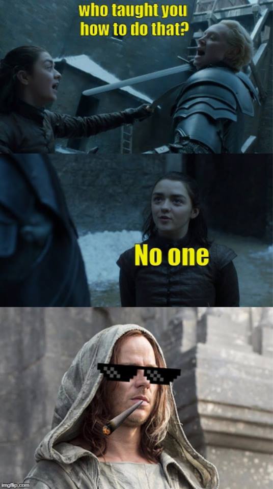 Arya Brienne meme
