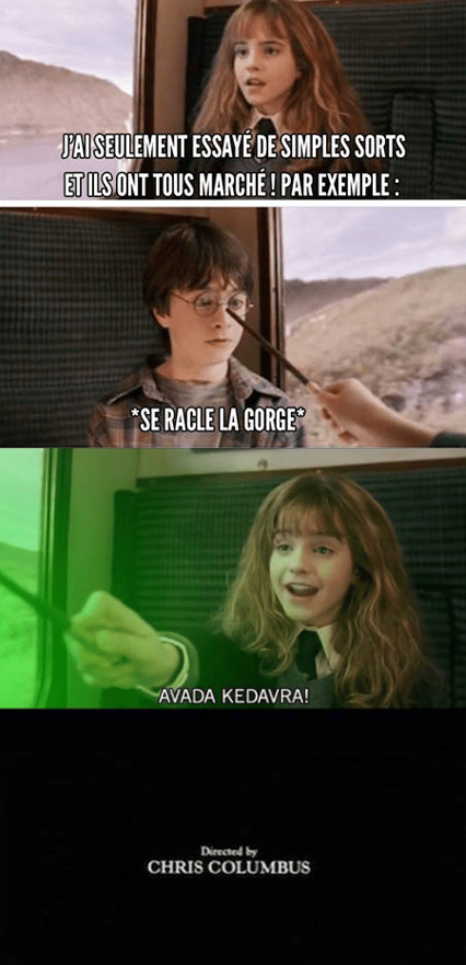 Harry Potter Fin alternative meme humour Hermione avada kedavra