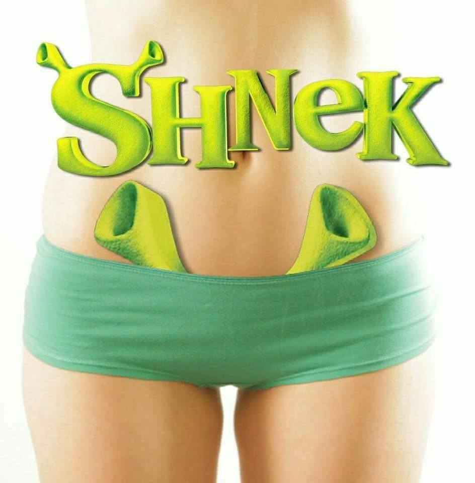 Shrek détournement shnek humour gras