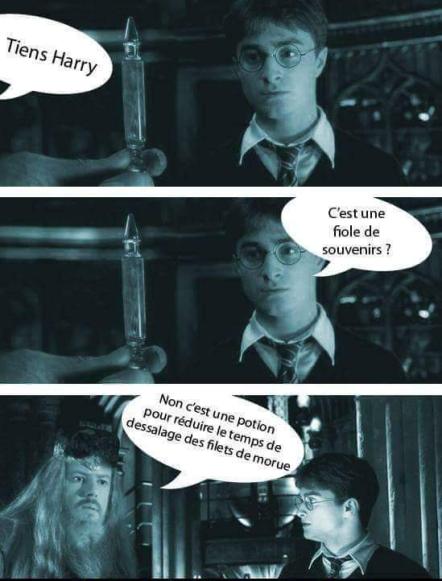Harry Potter kaamelott meme humour