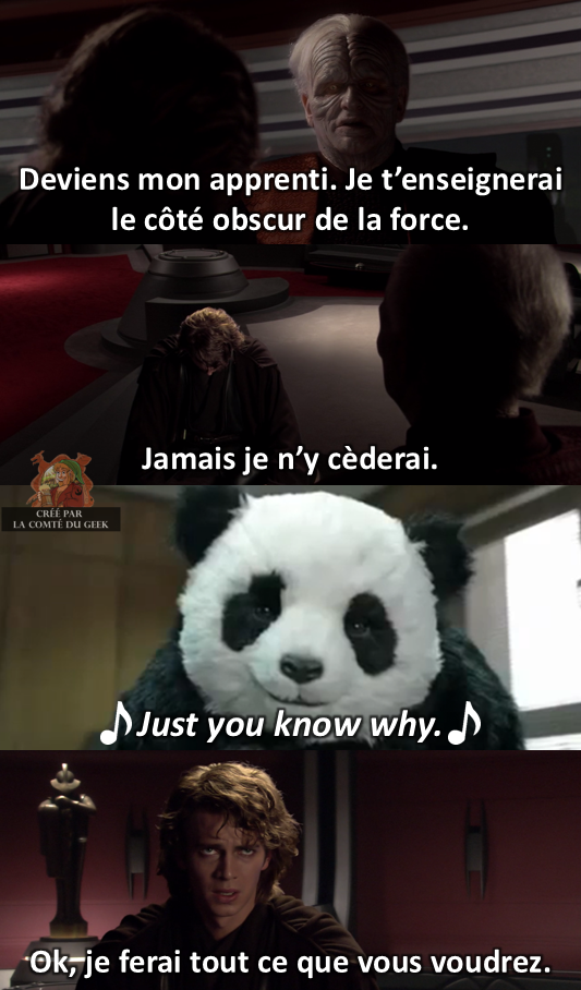 Star Wars meme never say no to panda