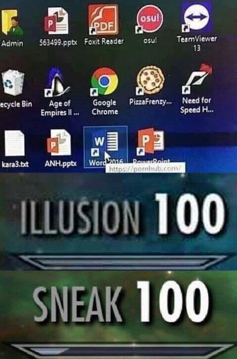 skyrim meme illusion 100