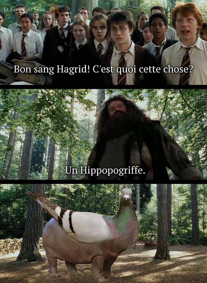 harry potter hippopogriffe